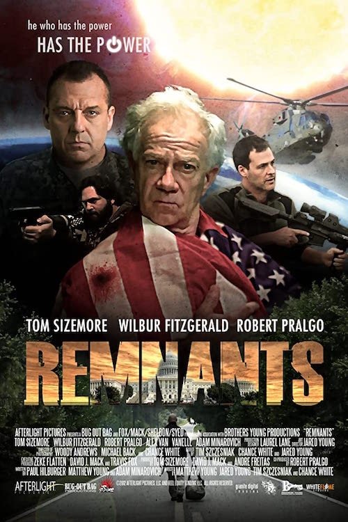 Постер Remnants